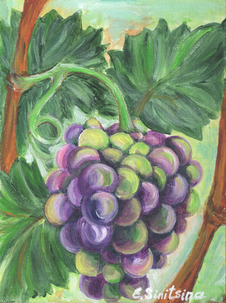 Grape
